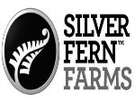 silver fern(copy)